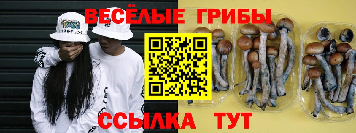 Псилоцибиновые грибы GOLDEN TEACHER Коряжма